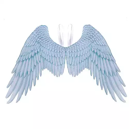 Himine Non-Woven Fabric Festive Party Angel Wings Suitable for Men and Women Decorative Wings (White+Blue)