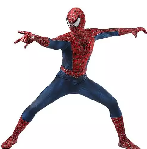 Spider-Man Costume