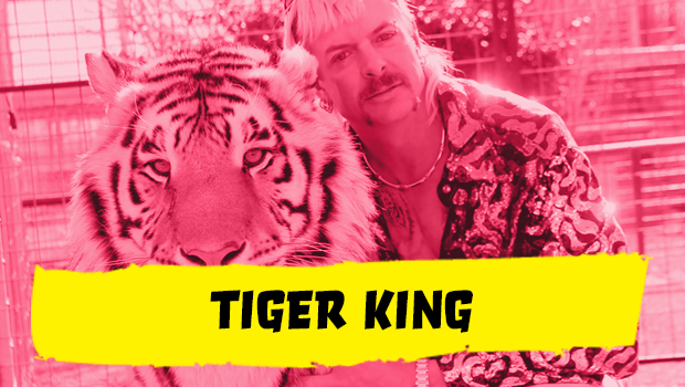 Tiger King Costume Ideas